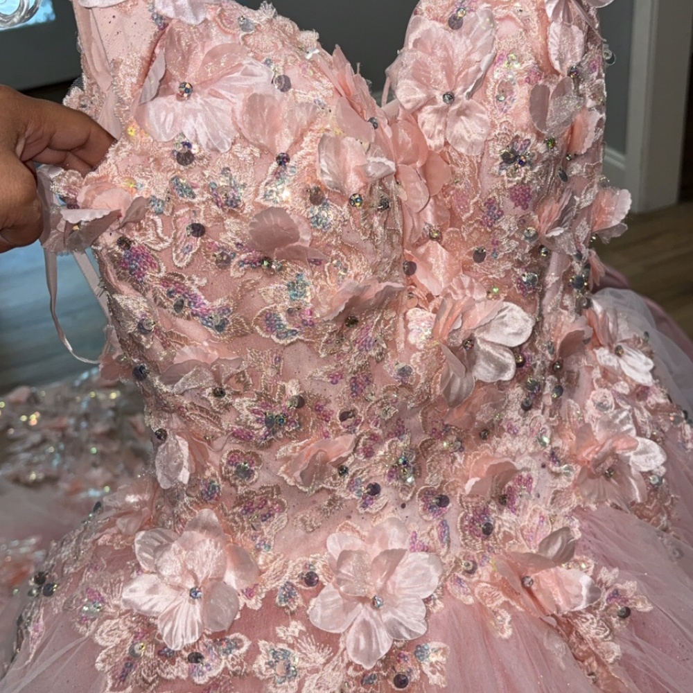 Brand new never worn quinceañera dress.  Size small